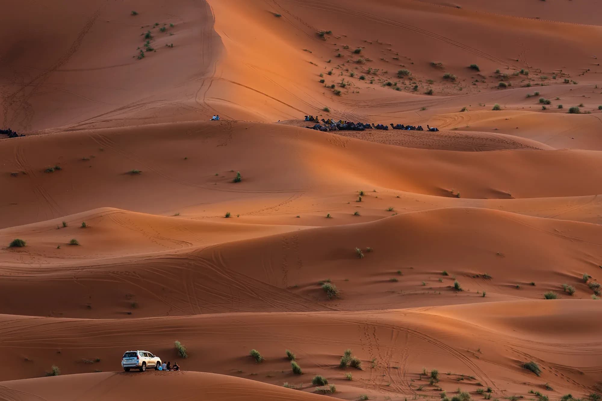 Todoterreno 4x4 blanco entre las dunas de Merzouga con luz de tarde