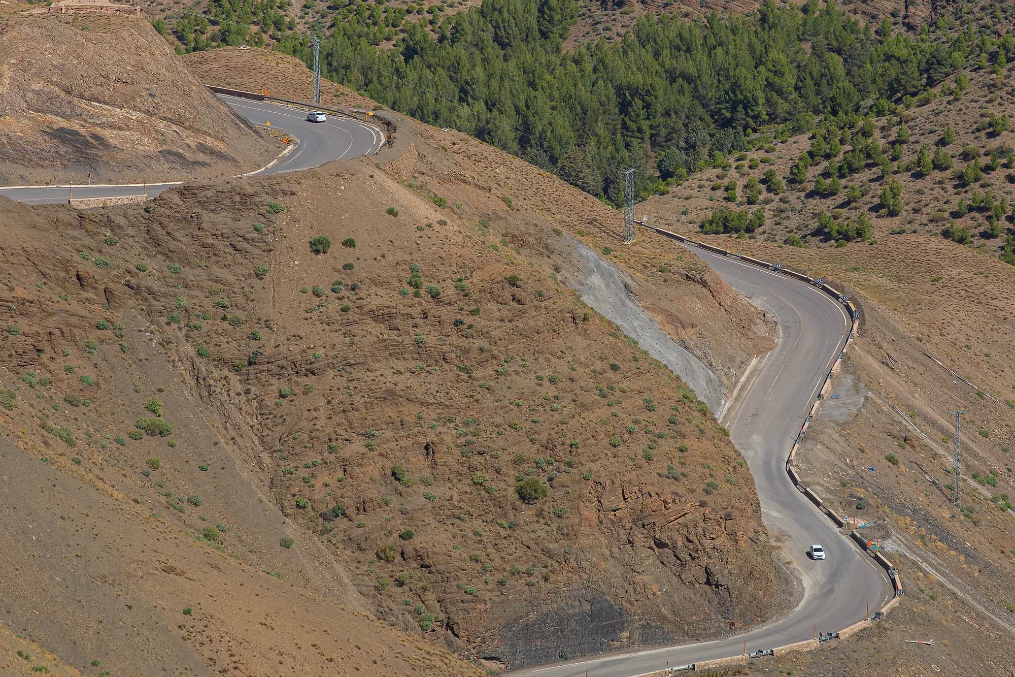 Coche en las curvas de una carretera de montaña con pinos en el Alto Atlas, camino del Tizi n'Tichka