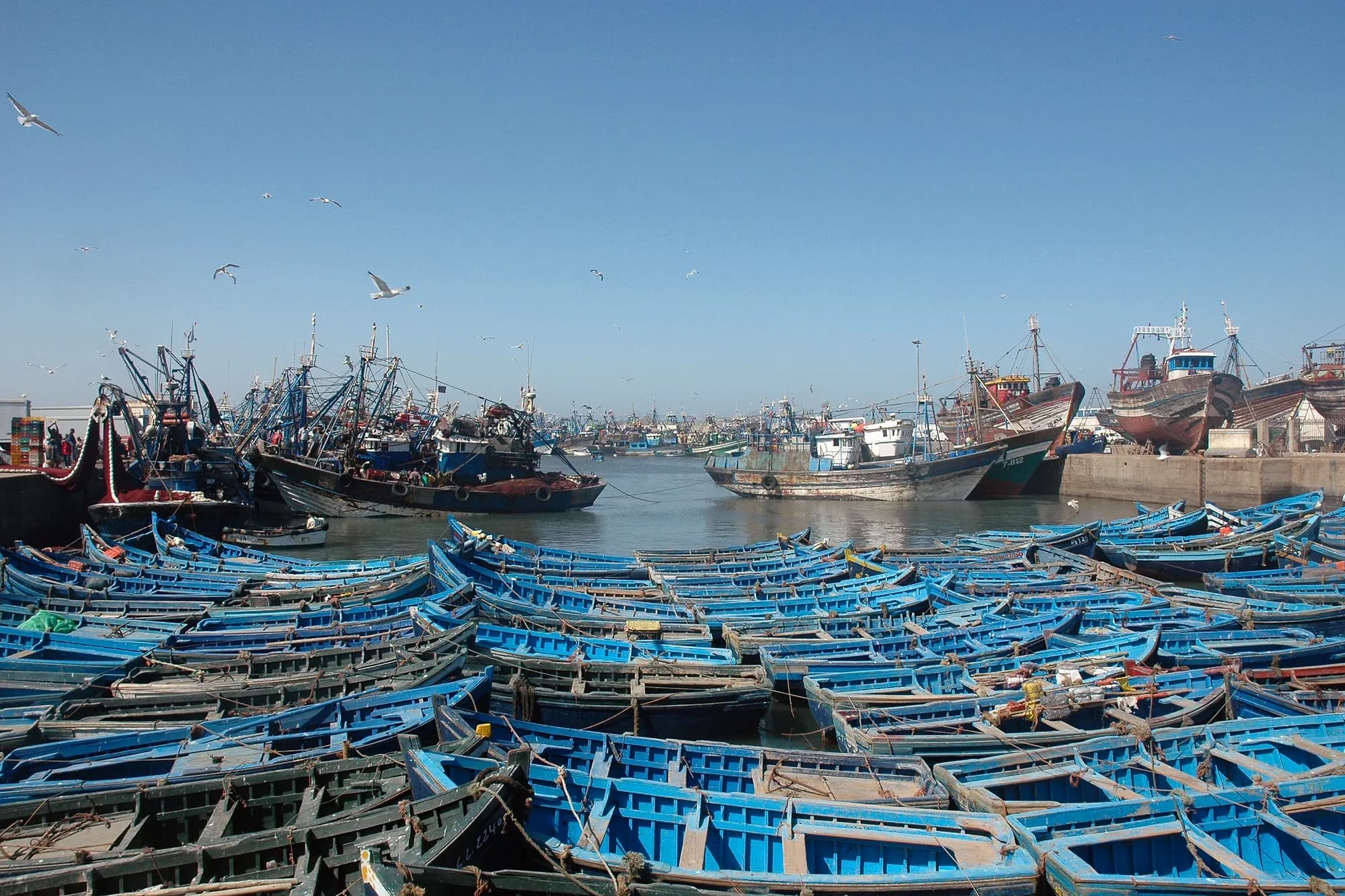 Barcas de pesca azules amarradas en el puerto de Essaouira