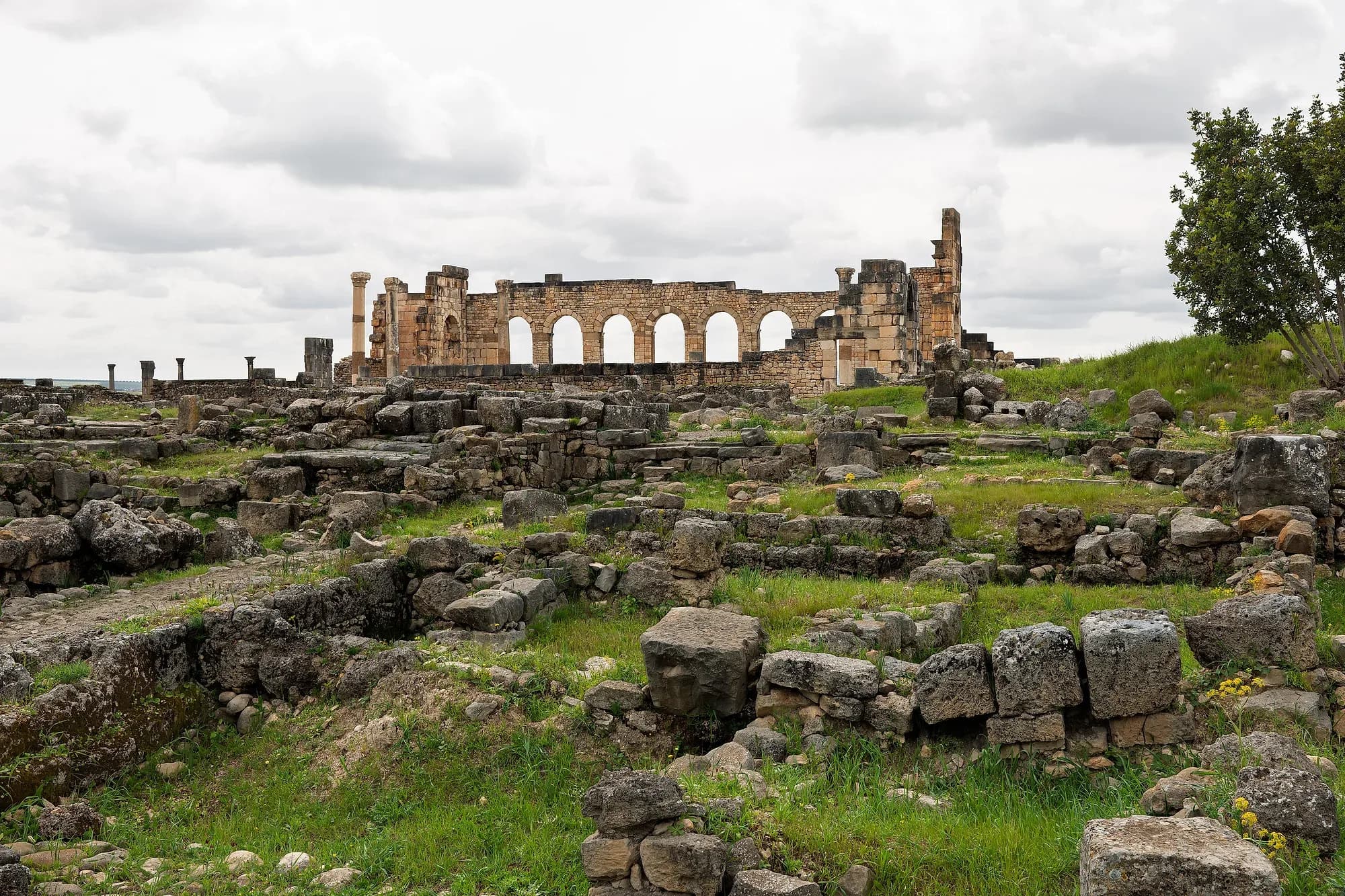 Ruinas romanas de Volubilis, cerca de Mequinez, con la basílica al fondo