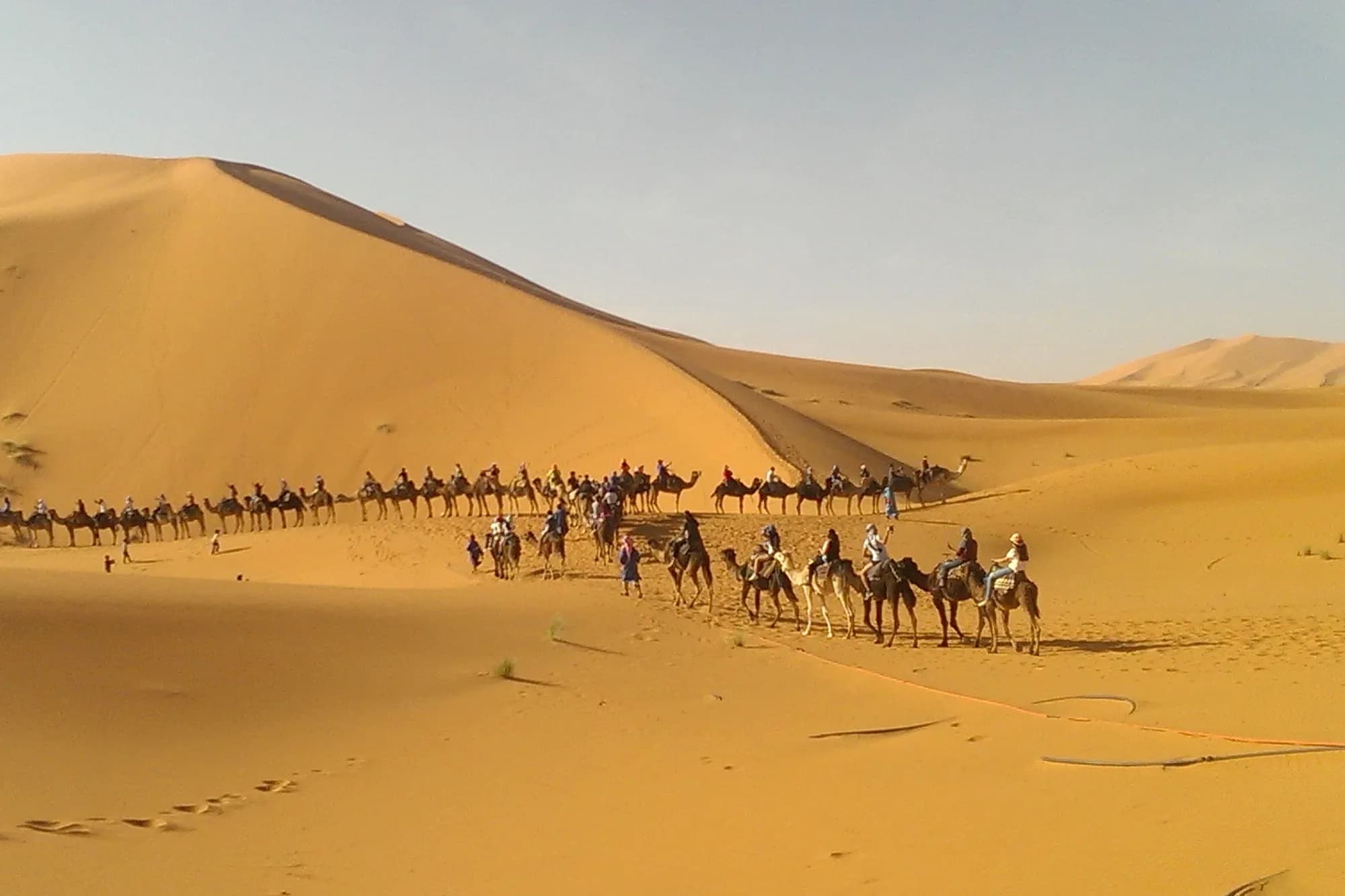 Caravana de camellos atravesando las dunas de Merzouga en el desierto del Sáhara