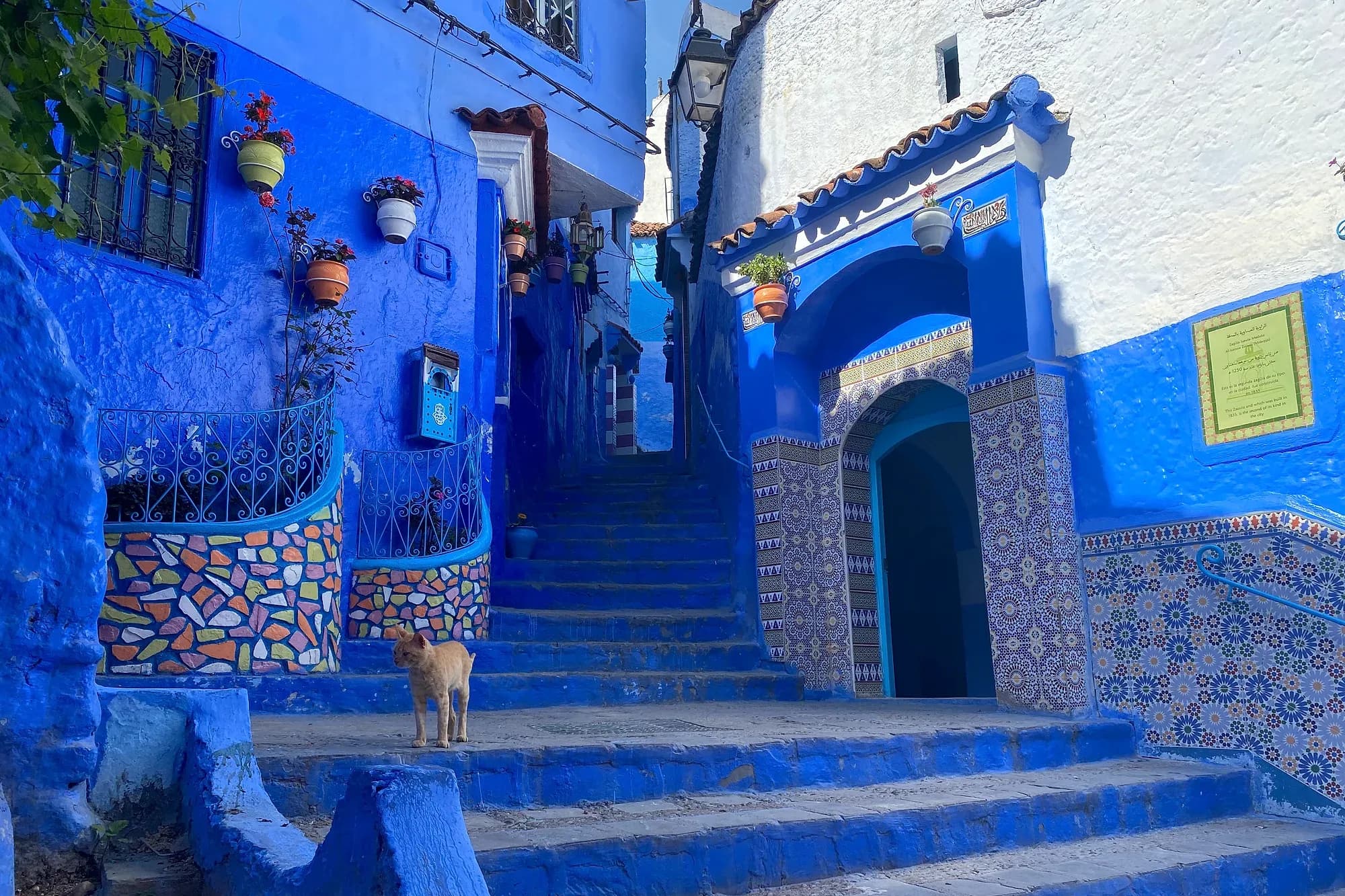 Callejón con escaleras y casas azules en la medina de Chefchaouen