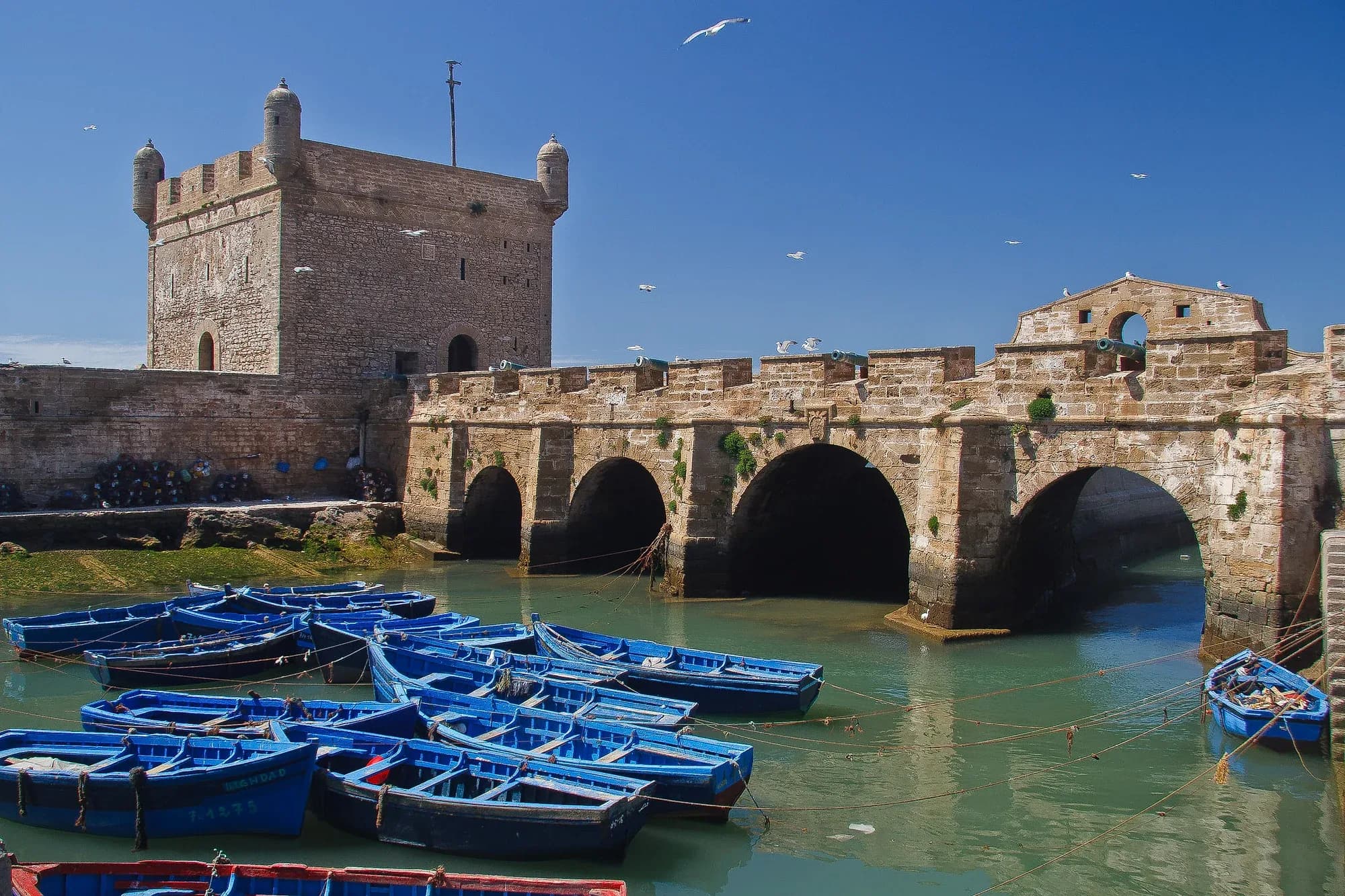 Barcas azules de pescadores junto a la muralla y el bastión del puerto de Esauira