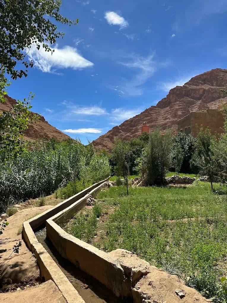Irrigation channel and crops in the Ziz Valley