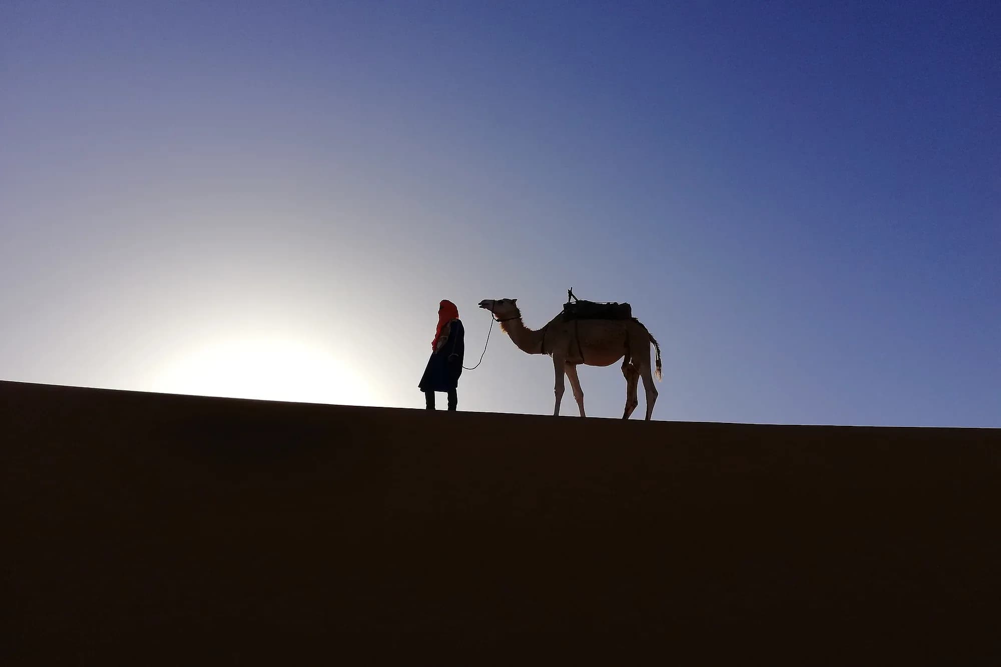 Silhouette of a camel driver and his dromedary on top of a dune at dusk, Merzouga