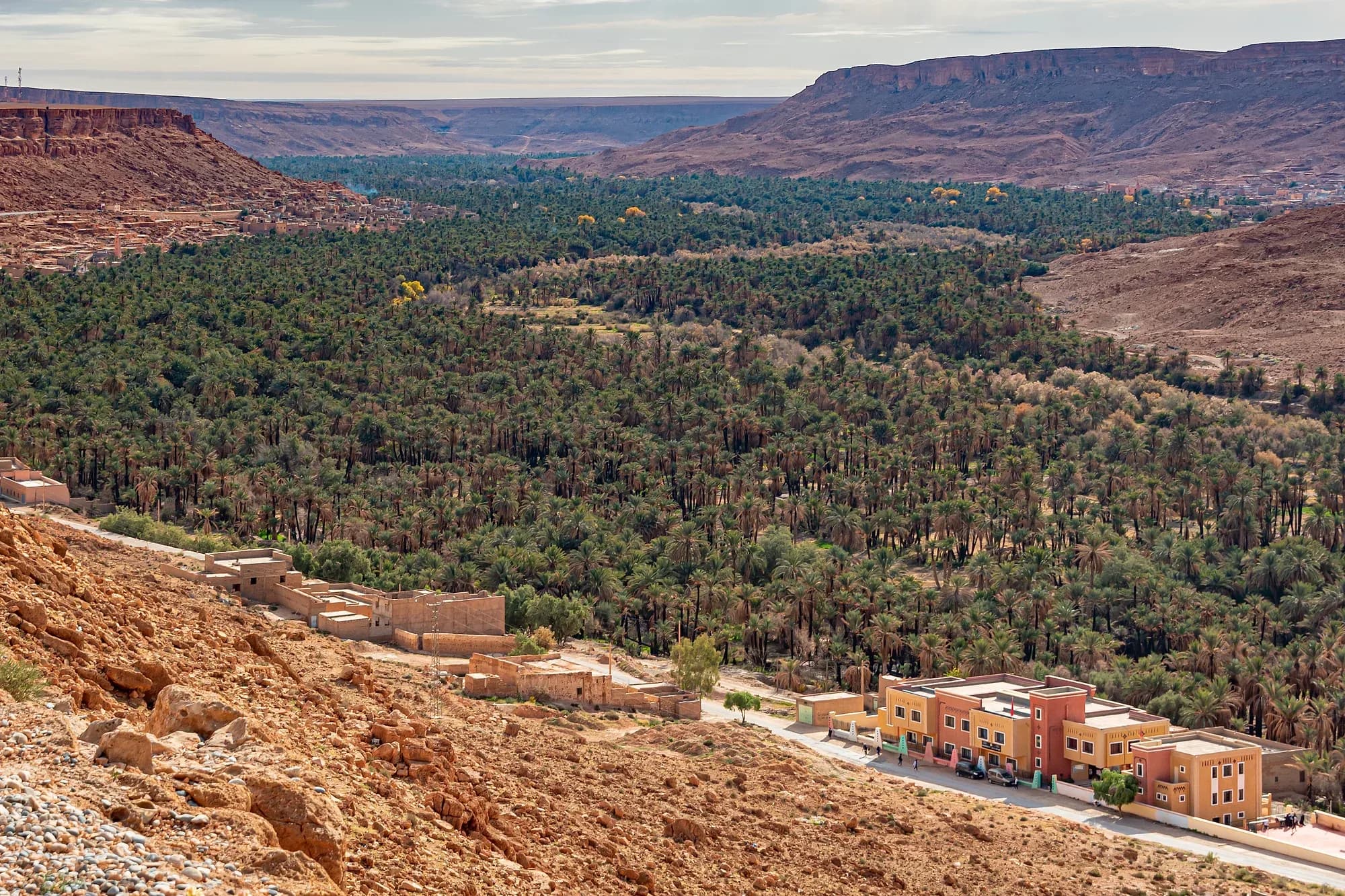 Palm grove of the Ziz Valley between reddish rock walls, with houses by the road