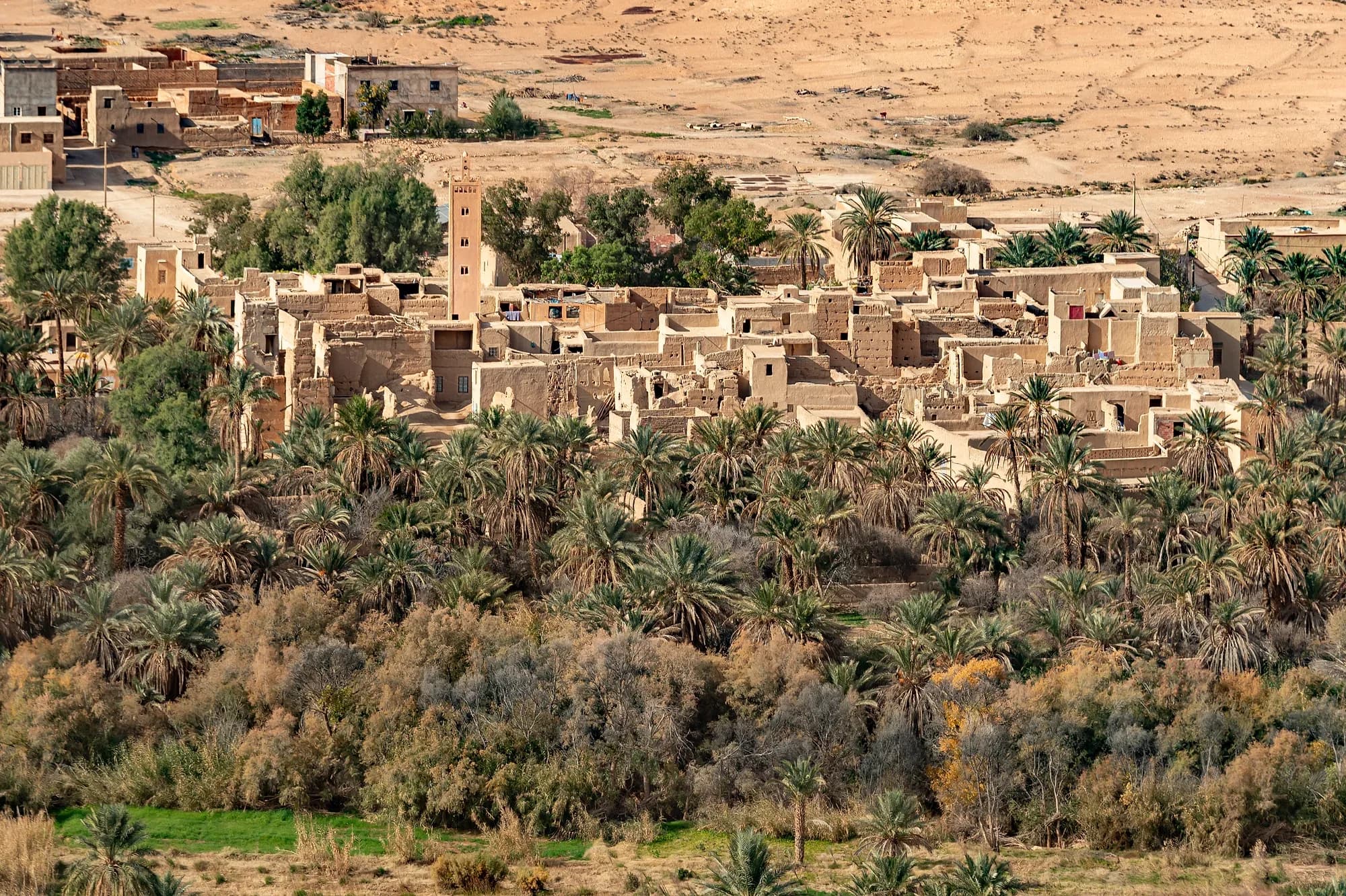 Mud-brick ksar above the dense palm grove of the Ziz Valley
