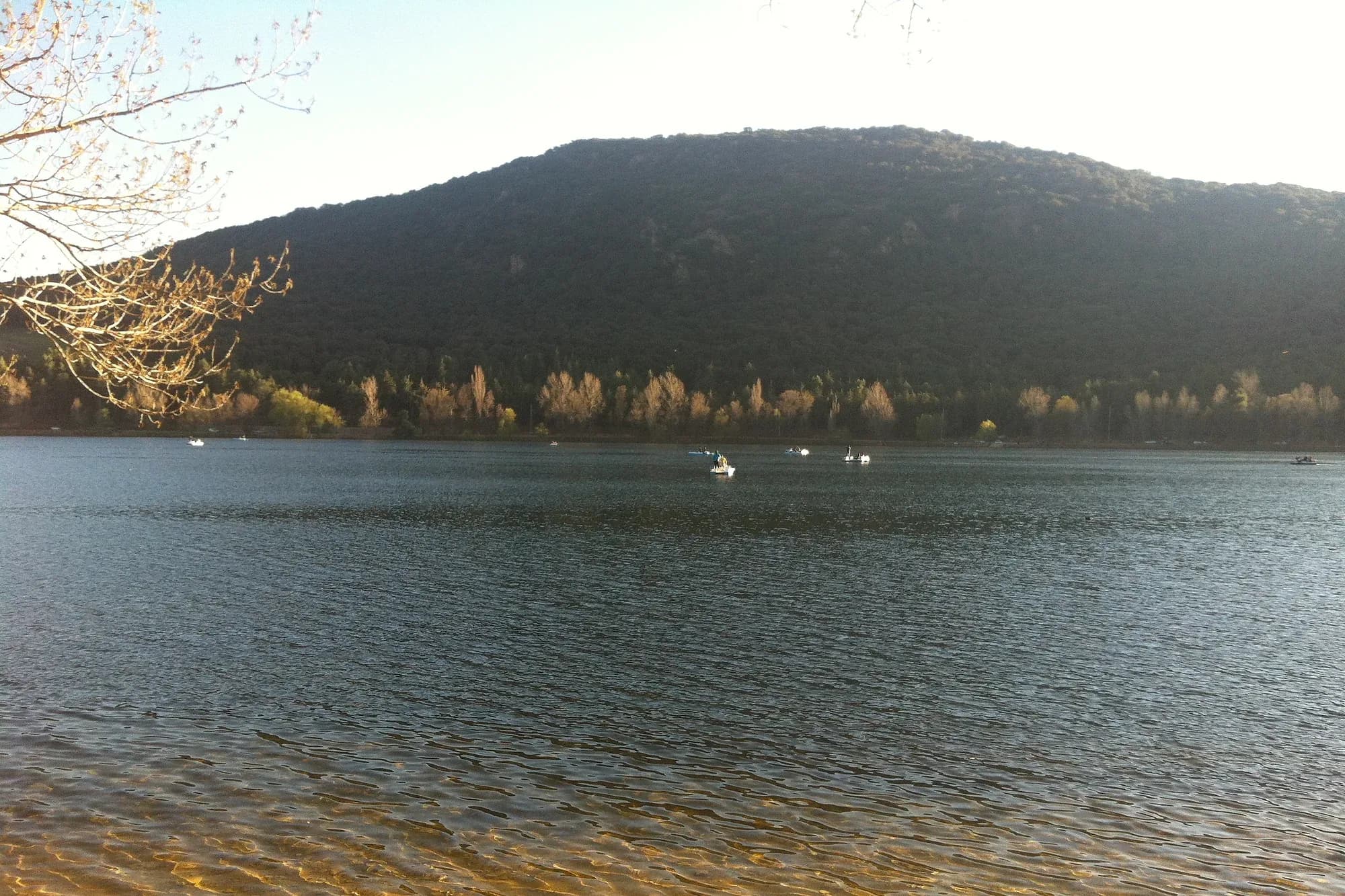 Dayet Aoua lake, near Ifrane, with a wooded Middle Atlas hill in the background