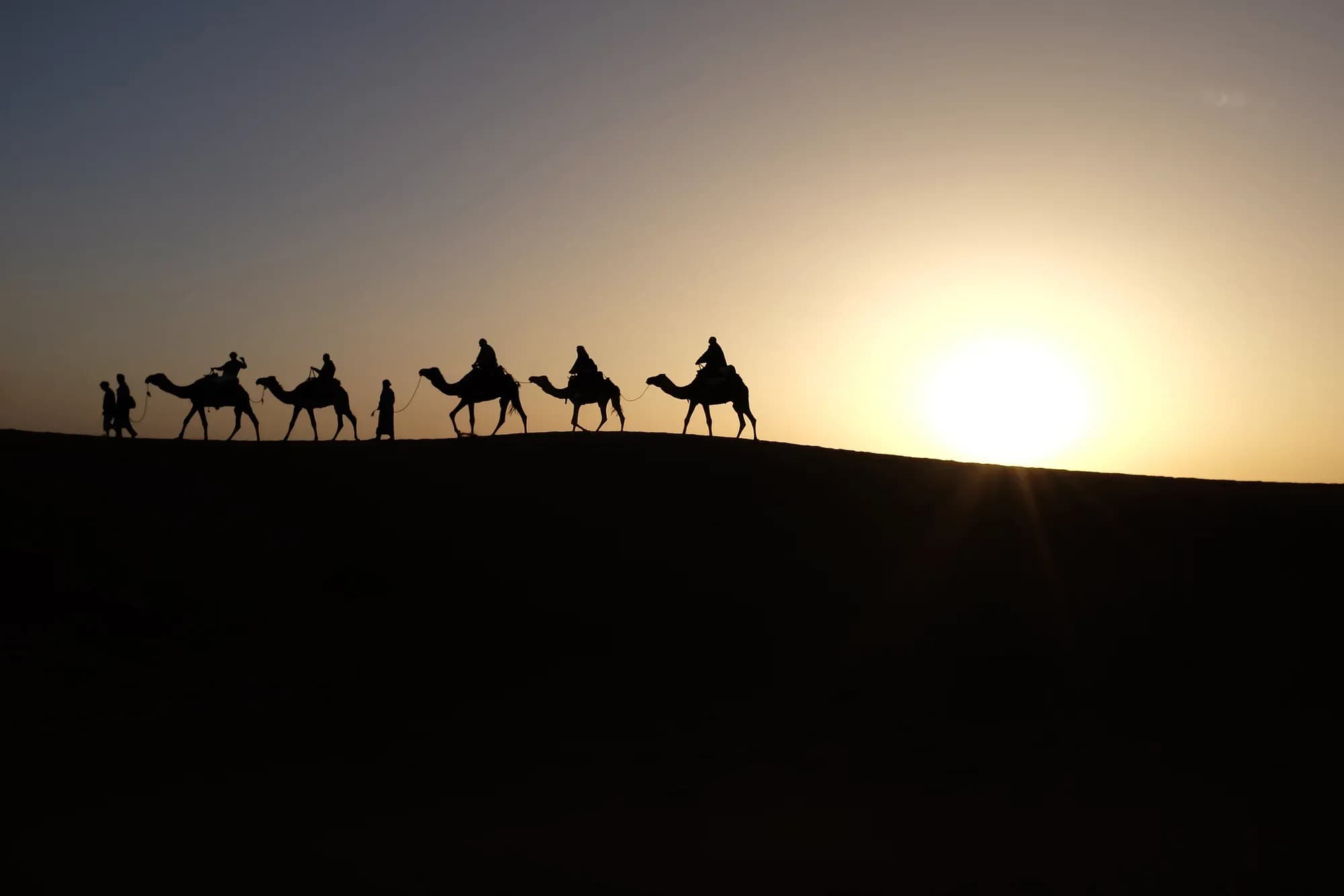 Silhouettes of a dromedary caravan at sunset on a Merzouga dune