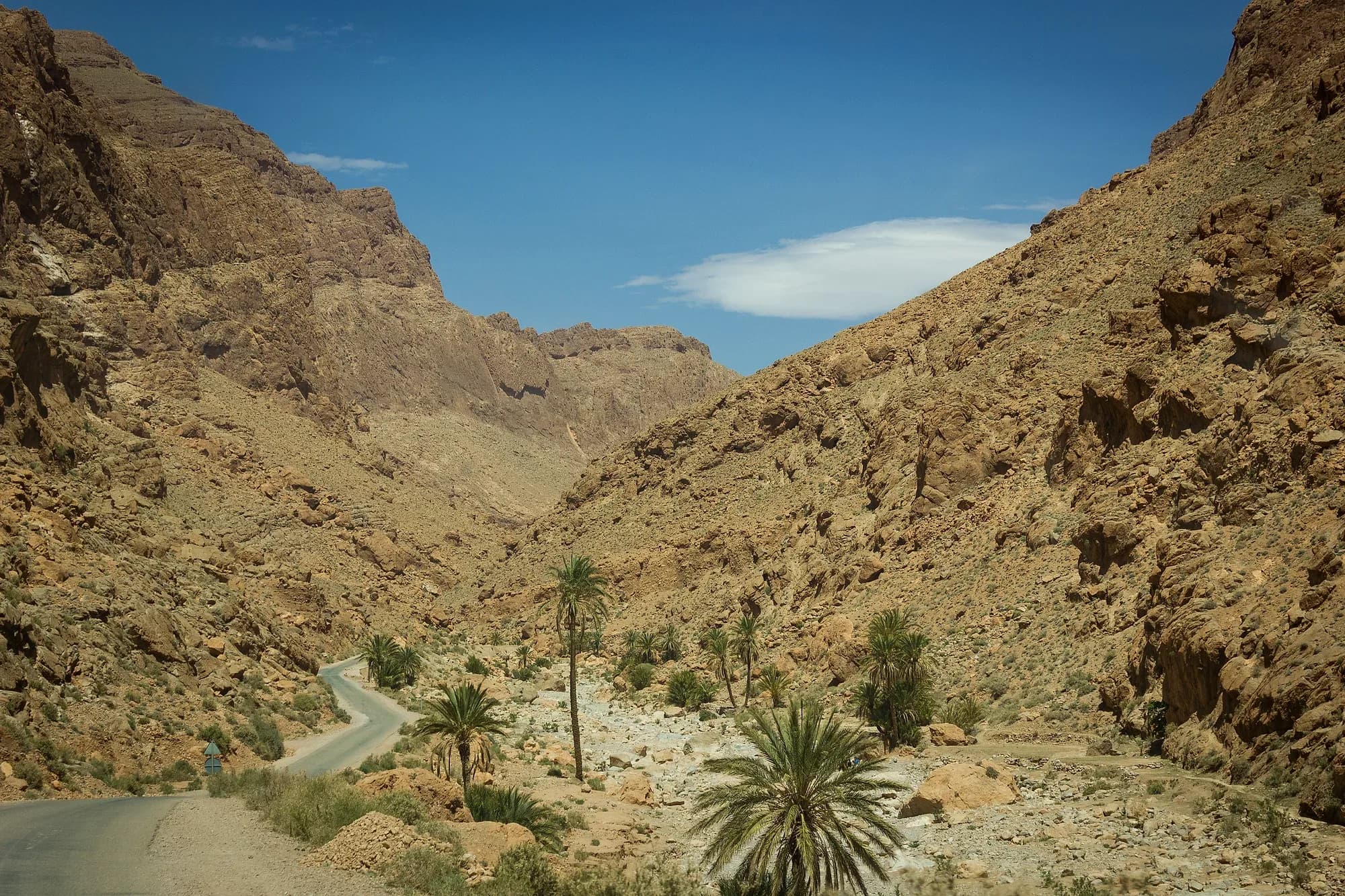 Palm trees and a path on the floor of the Todra canyon between rocky slopes