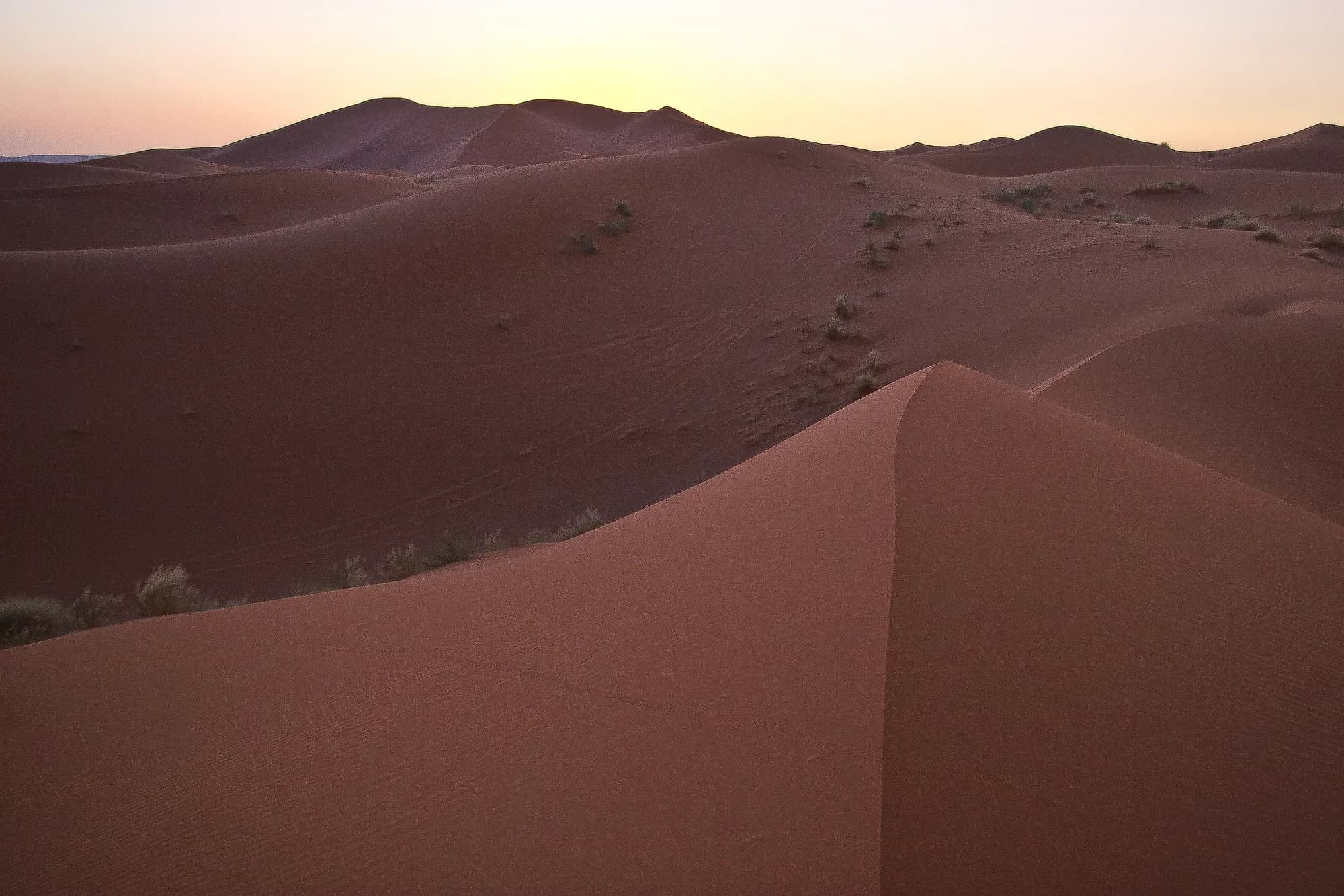 Pink-tinged Erg Chebbi dunes at sunset, Merzouga