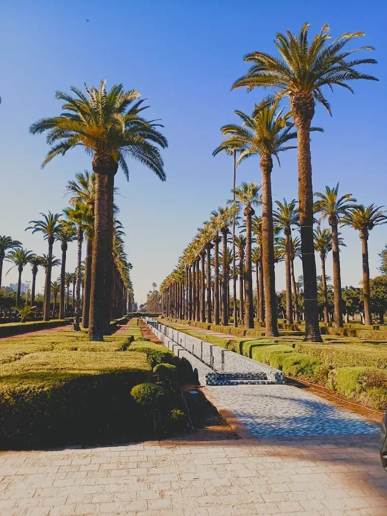 Palm-lined avenue in Marrakech