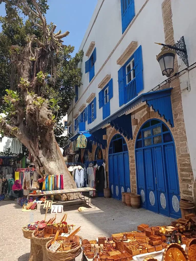 Street with a tree and shops in Chefchaouen