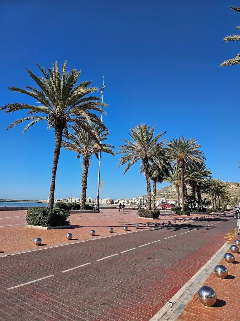 Palm-lined seafront promenade in Agadir