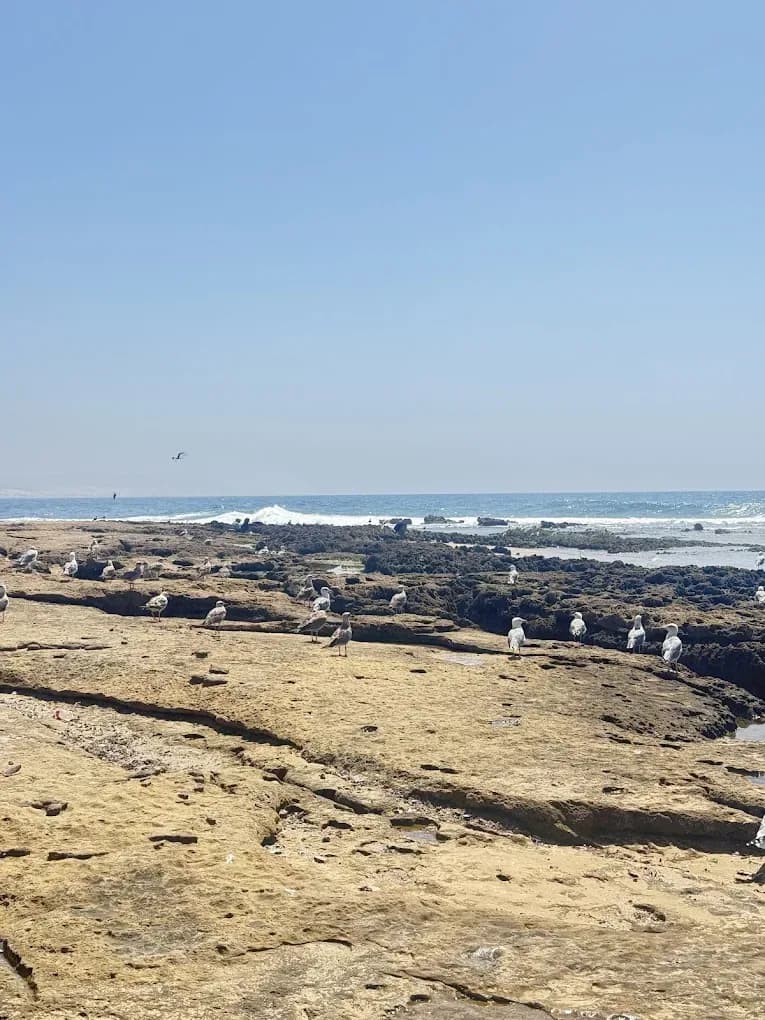 Costa de rocas del Atlántico