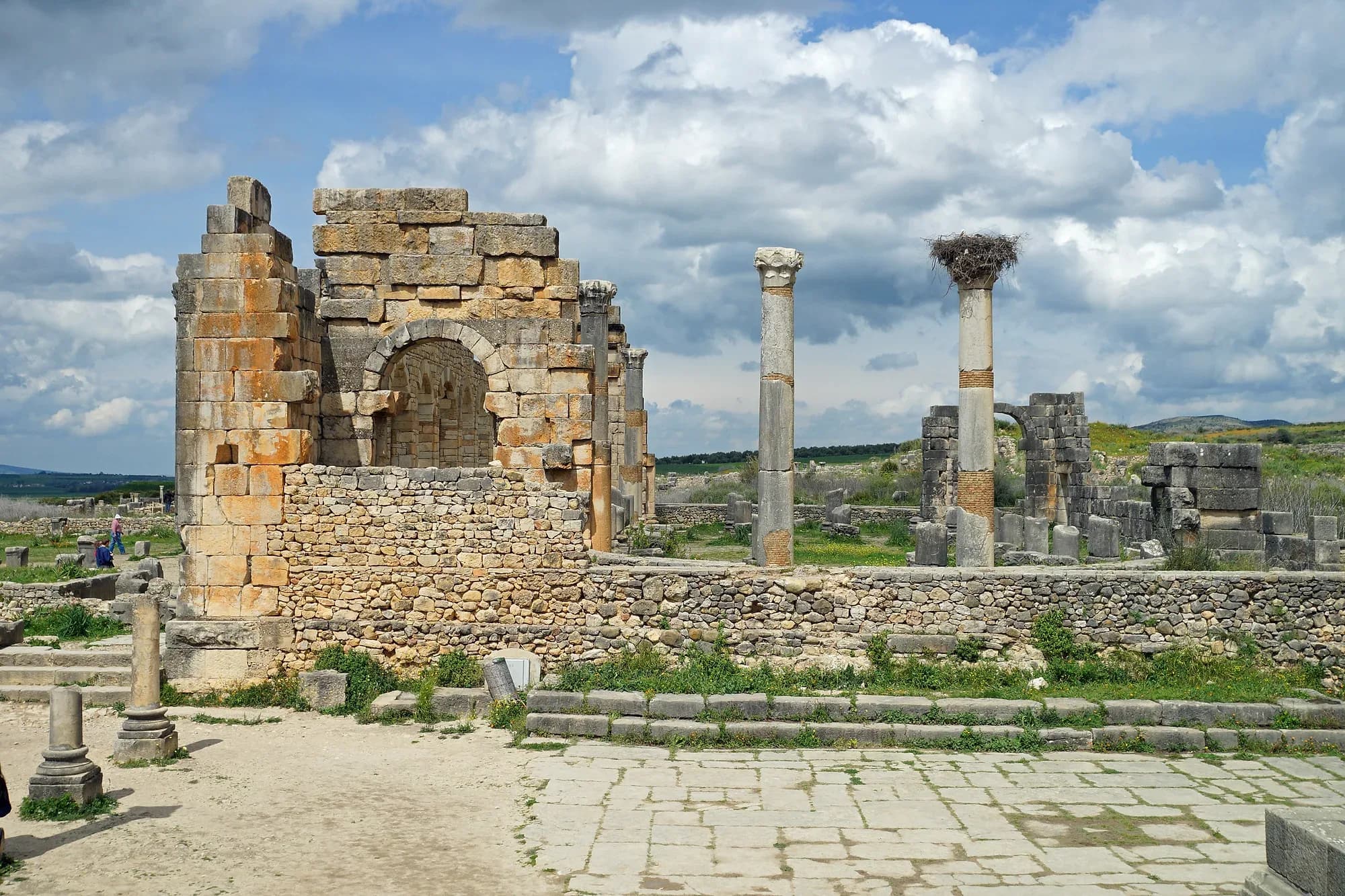 Remains of the basilica and the columns of the Capitol in the Roman ruins of Volubilis