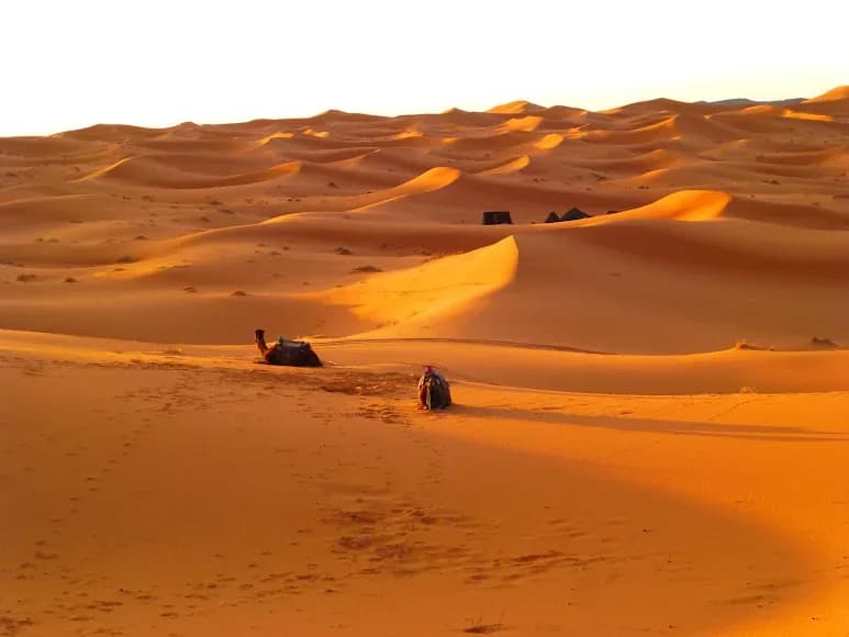 Golden dunes of Merzouga