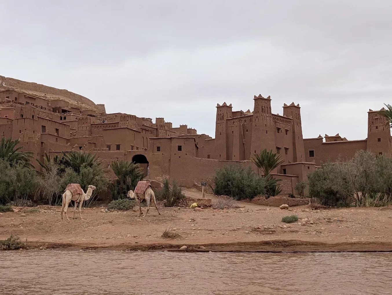 Aït Ben Haddou ksar with camels by the river