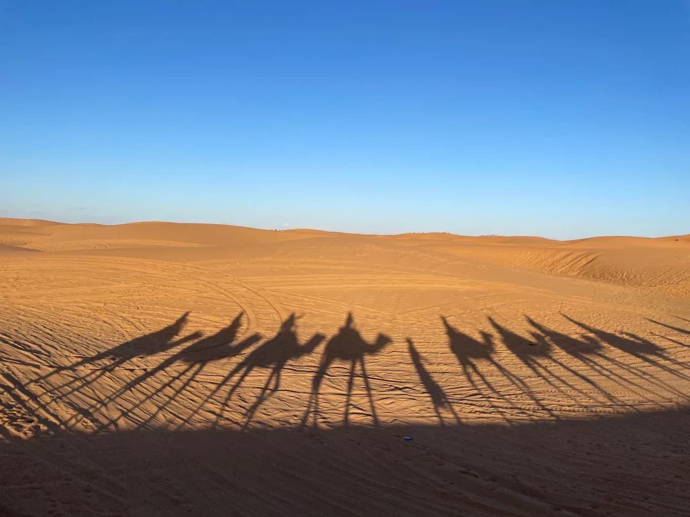 Shadows of the caravan on the sand