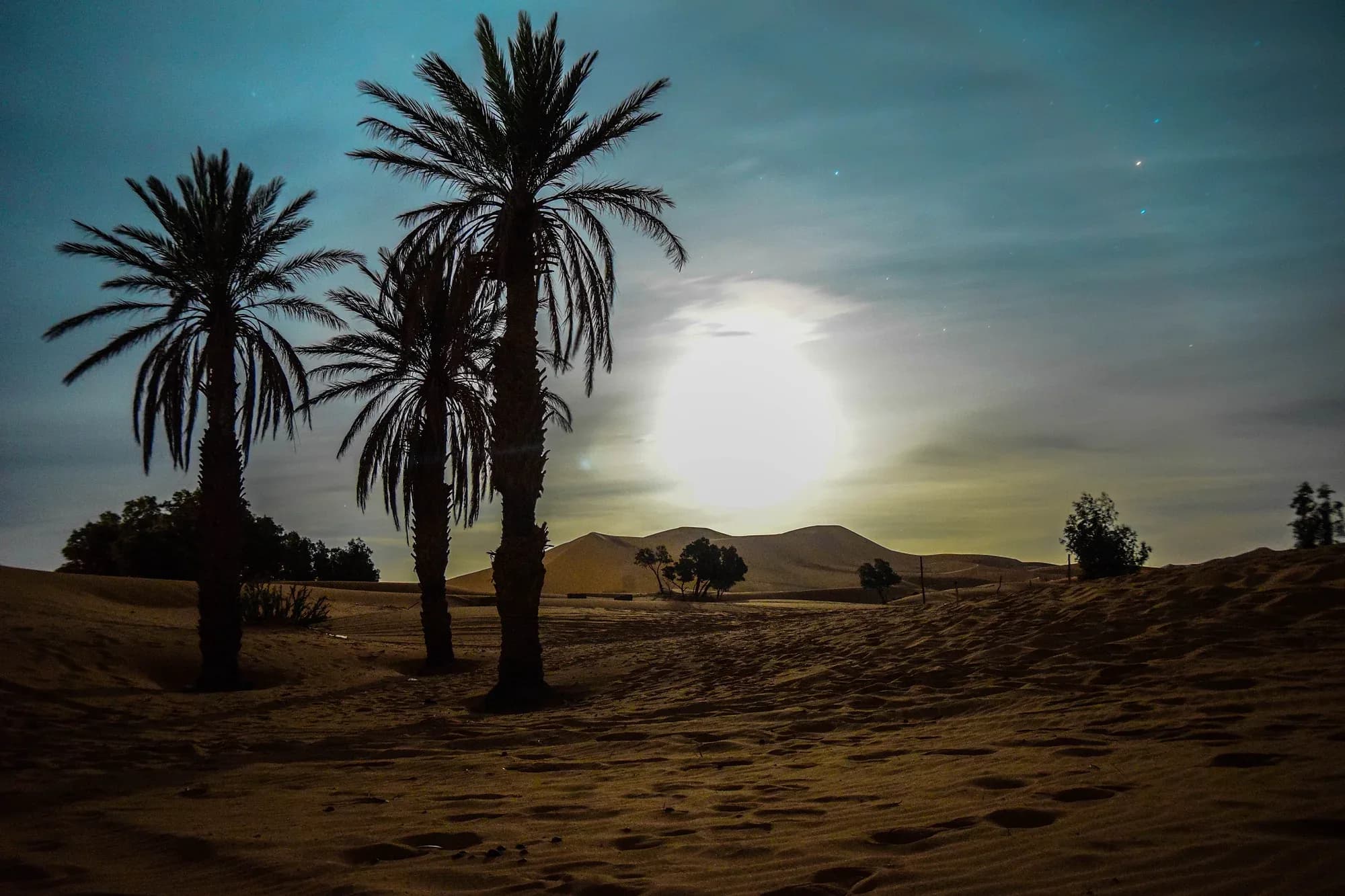 Palmeras bajo la luna llena de noche en las dunas de Erg Chebbi, Merzouga