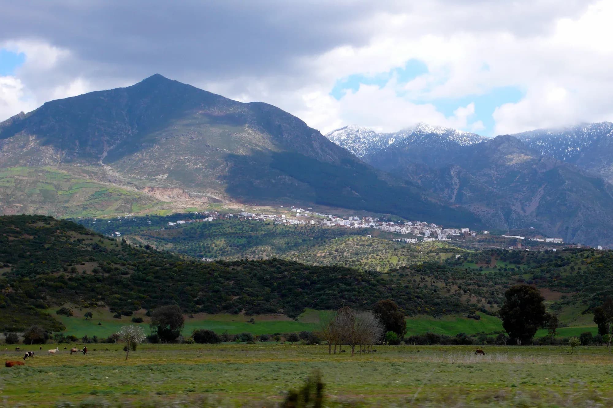 Chefchaouen al pie de las montañas del Rif, con campos y arboledas en primer plano