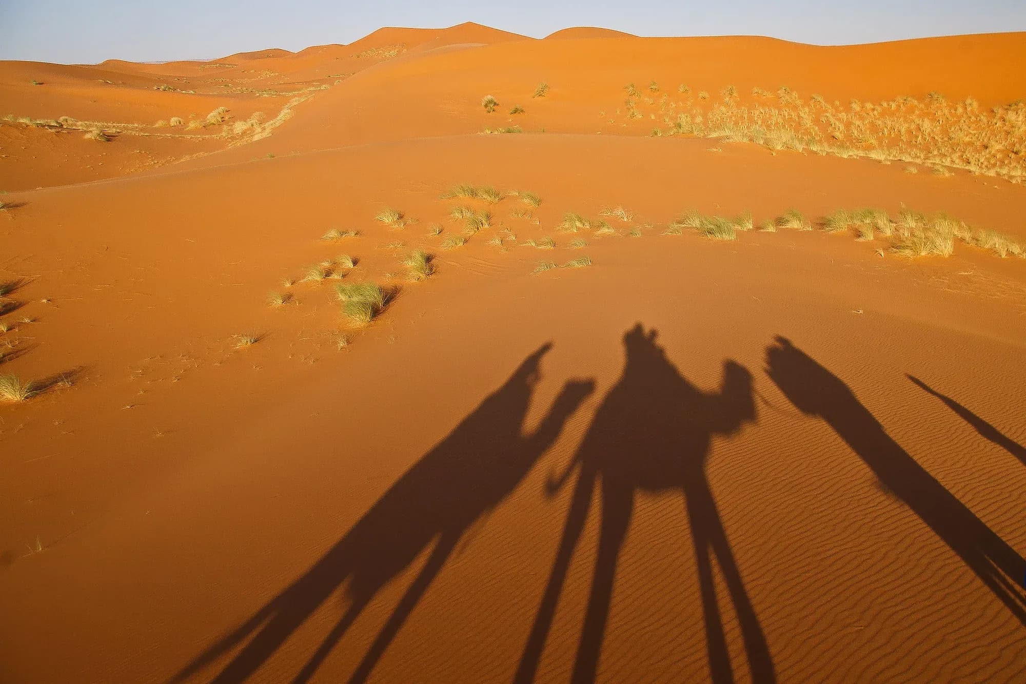 Sombras alargadas de dromedarios y jinetes sobre las dunas de Erg Chebbi al atardecer