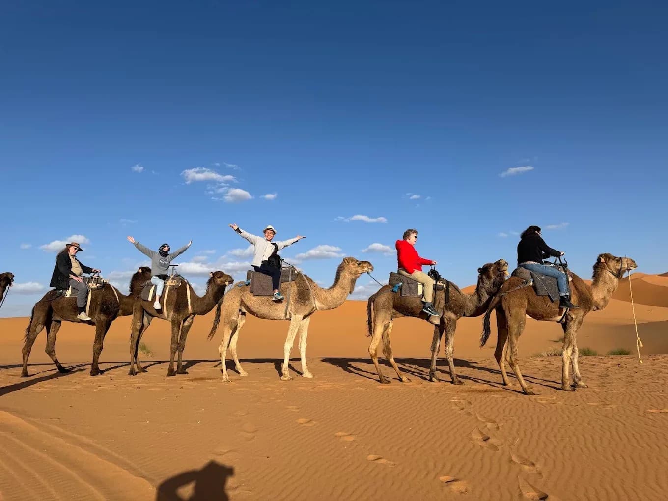Camel caravan on the dunes under a blue sky