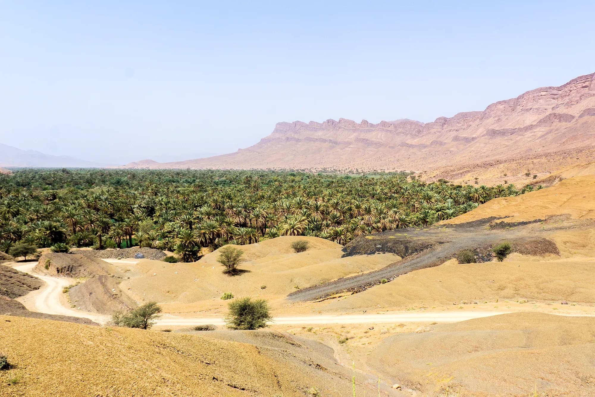 Palm grove of the Draa Valley between desert hills and reddish mountains