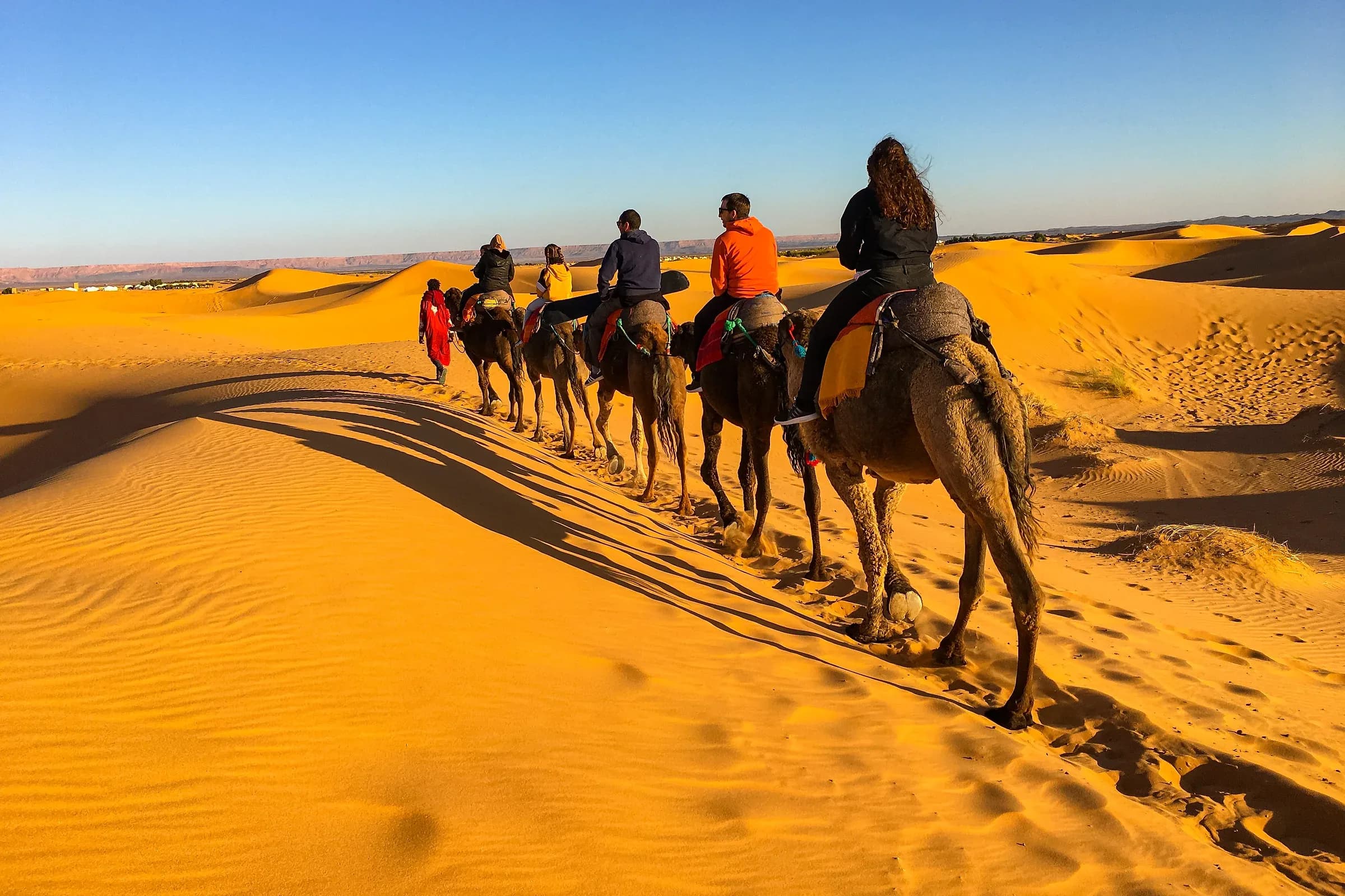 Dromedary caravan crossing the Merzouga dunes in Erg Chebbi
