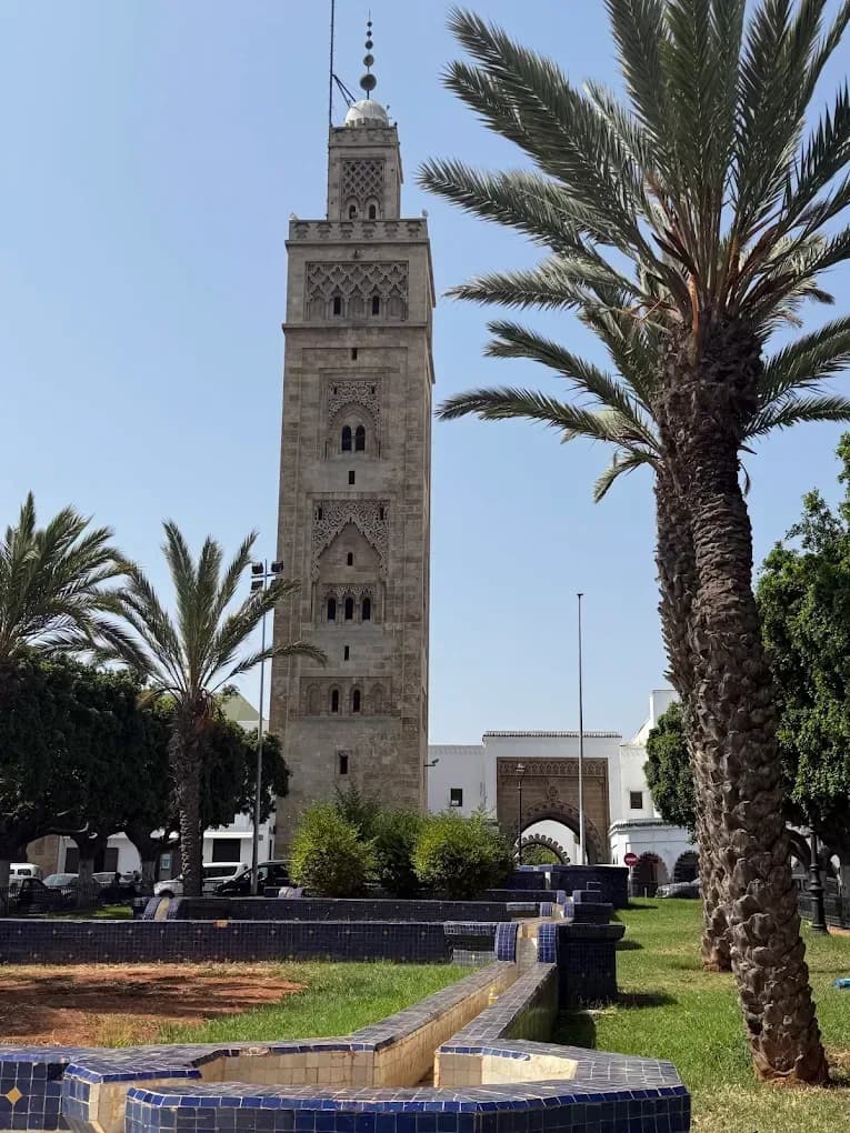 Minaret among palm trees in Tangier