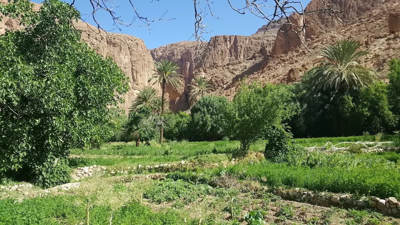 Green valley between cliffs