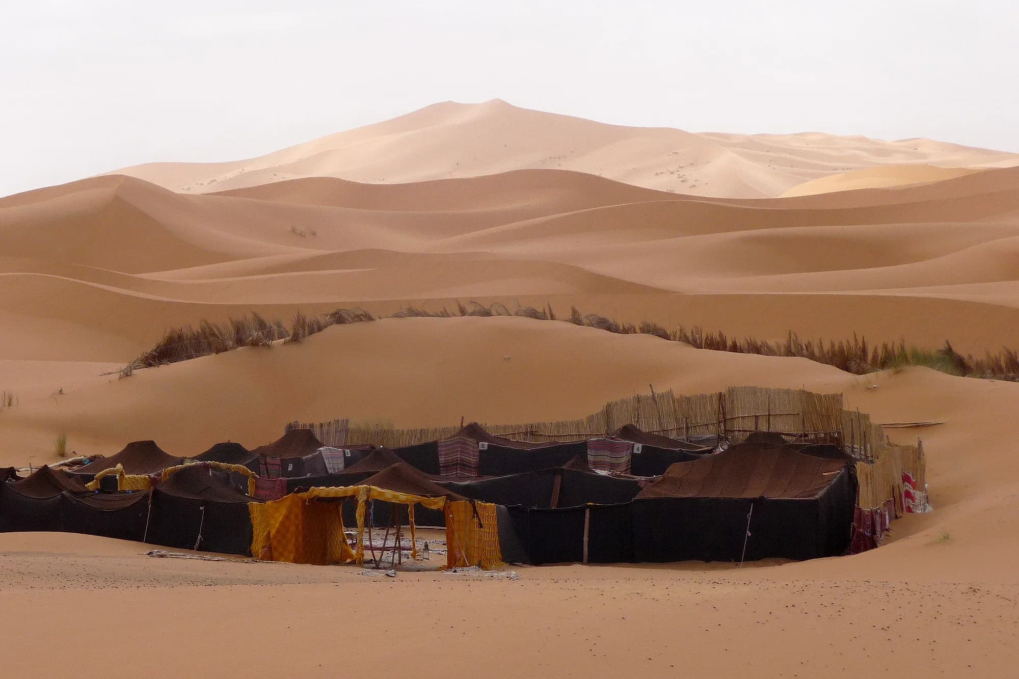 Campamento de jaimas bereberes al pie de las grandes dunas de Merzouga