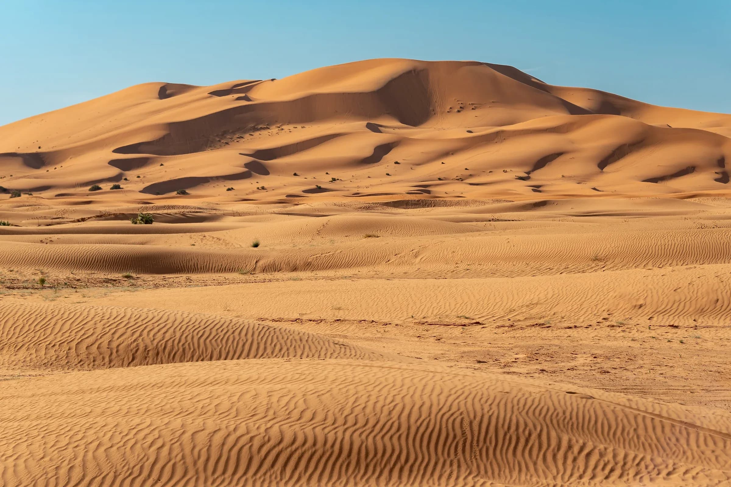 High Erg Chebbi dunes with rippled sand under a blue sky, Merzouga