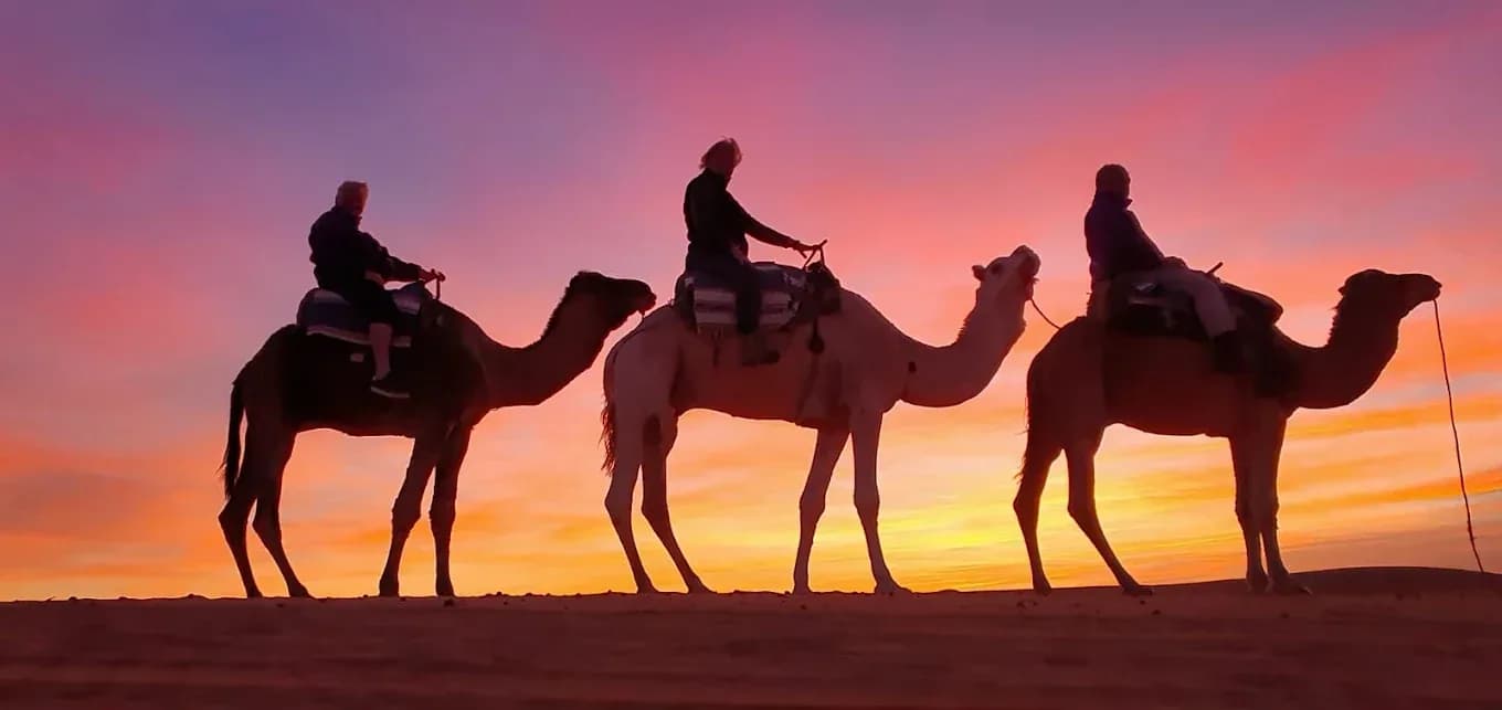 Caravan silhouettes against a pink sky