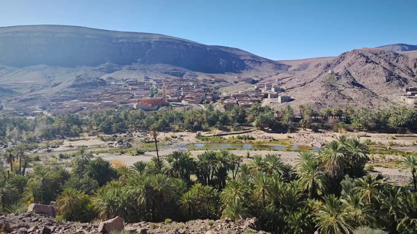 Palm grove in the Ziz Valley