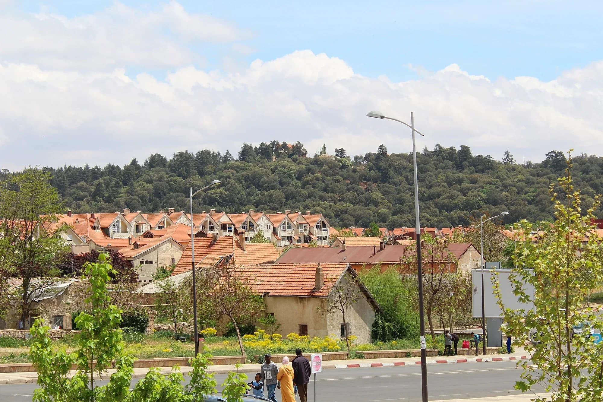 Red-roofed houses of Ifrane below forested hills in the Middle Atlas