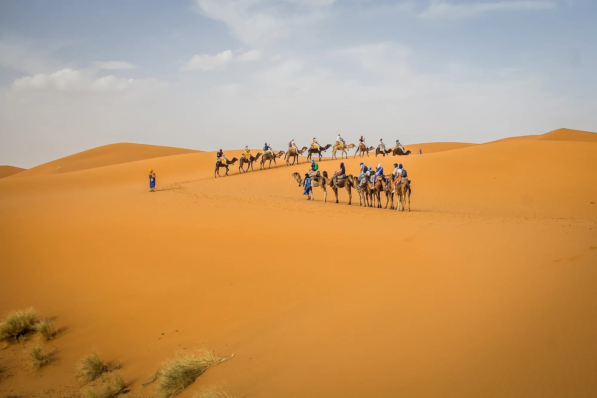 Group of travellers on dromedaries heading into the Erg Chebbi dunes, Merzouga