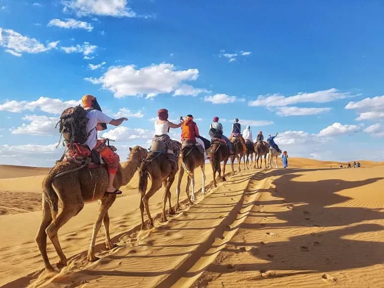 Camel caravan under a blue sky