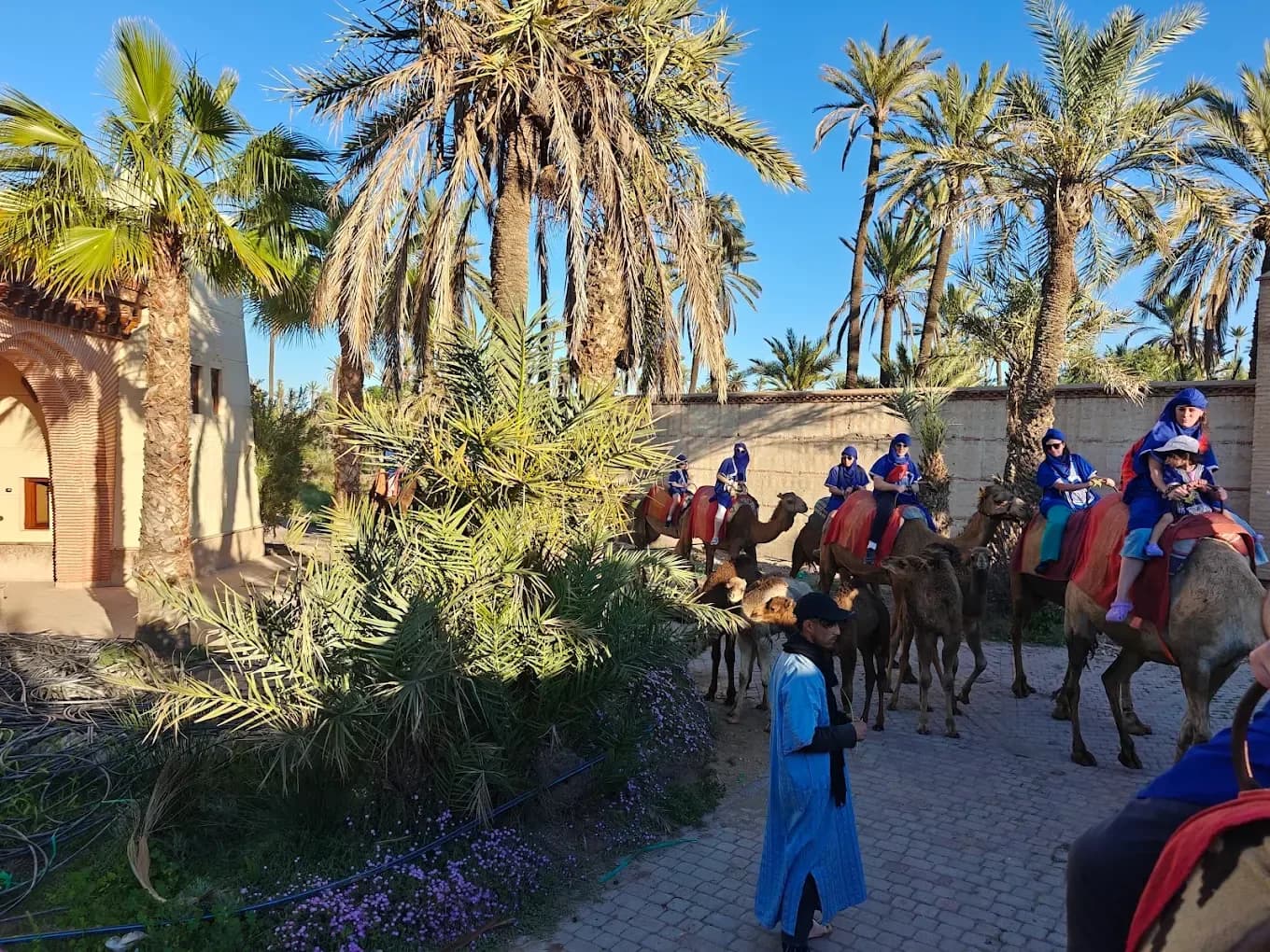 Travellers on camels in the Marrakech palm grove