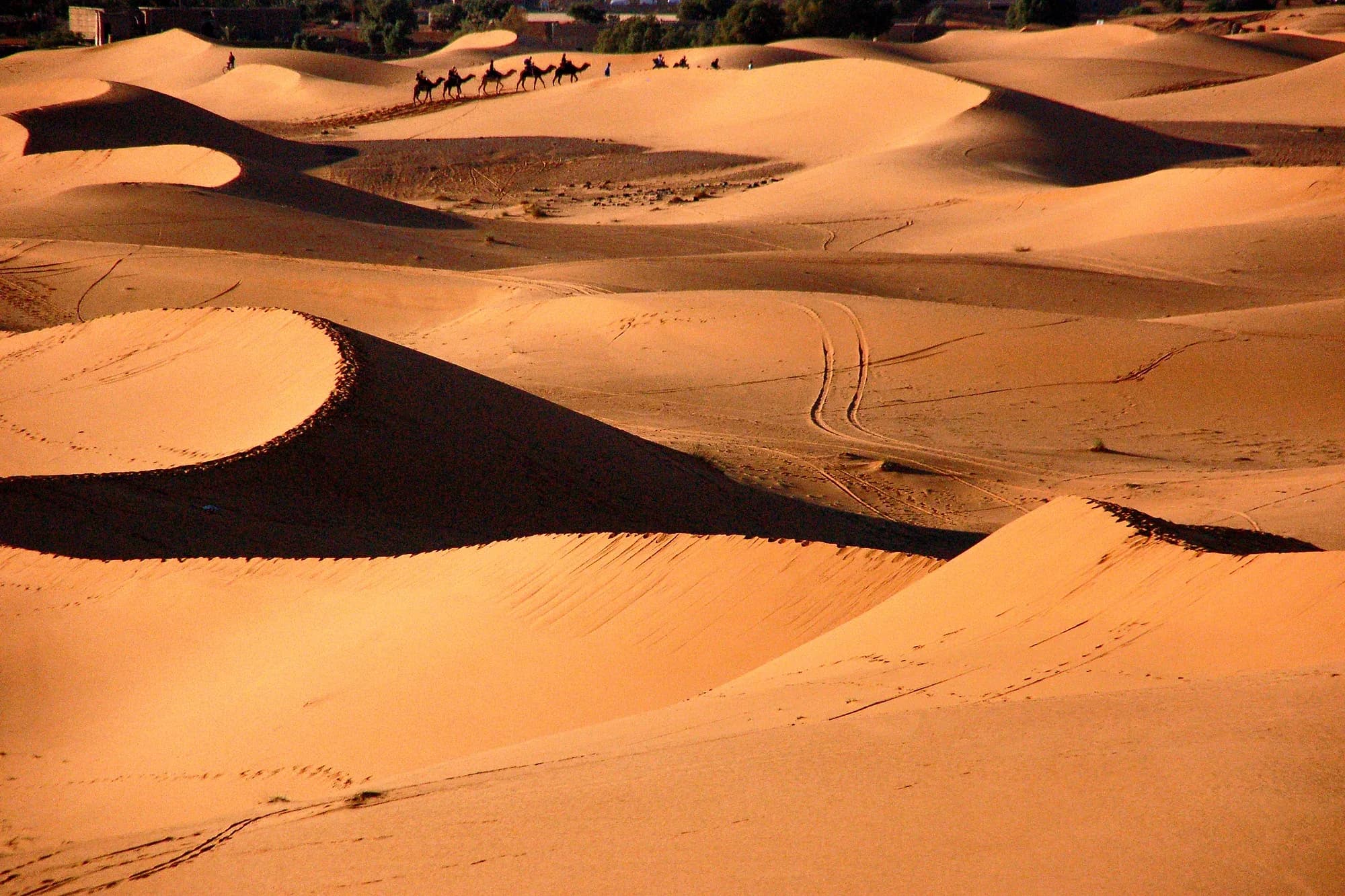 Dromedary caravan atop the Erg Chebbi dunes casting long shadows