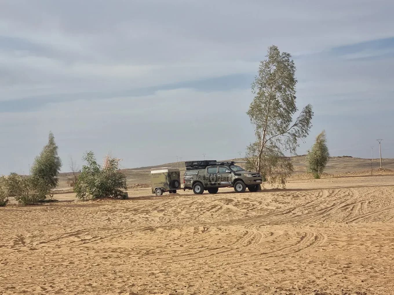 4x4 in the stony desert with trees