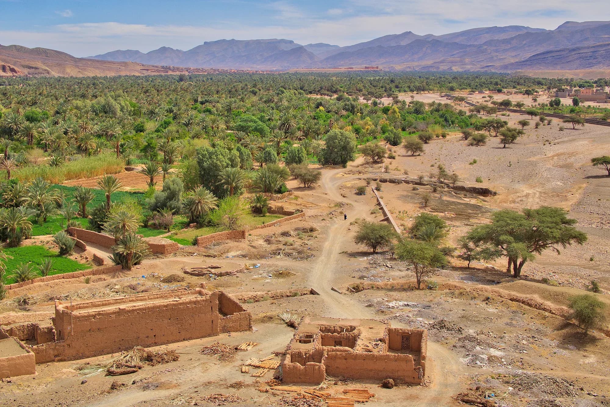 View south over the Draa Valley from Agdz, with palm grove and mud-brick houses