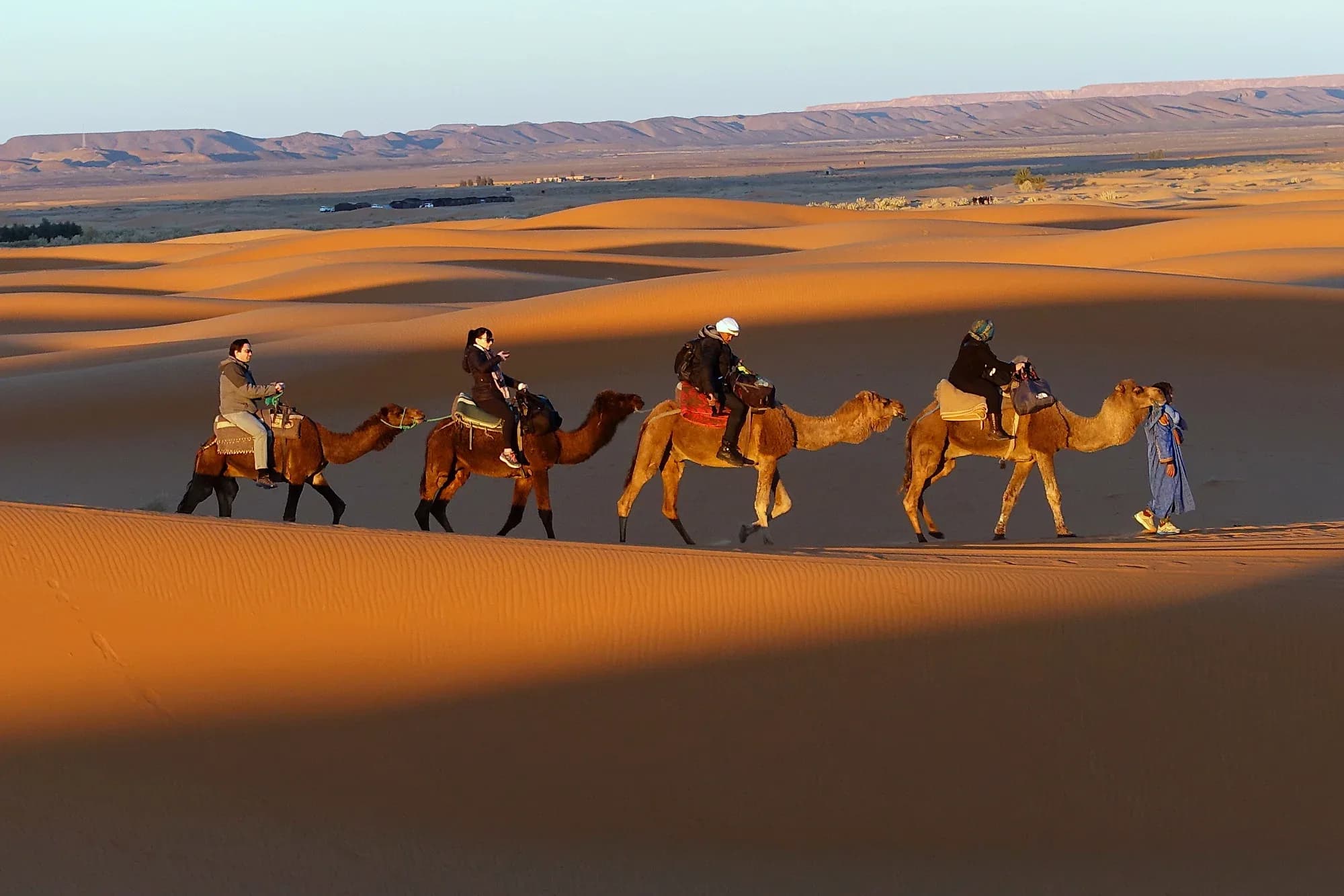 Dromedary caravan with travellers crossing the Erg Chebbi dunes in warm light