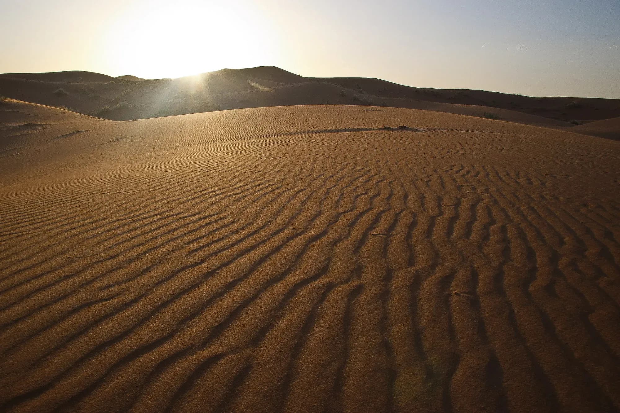 Backlit sand ripples in the Erg Chebbi dunes