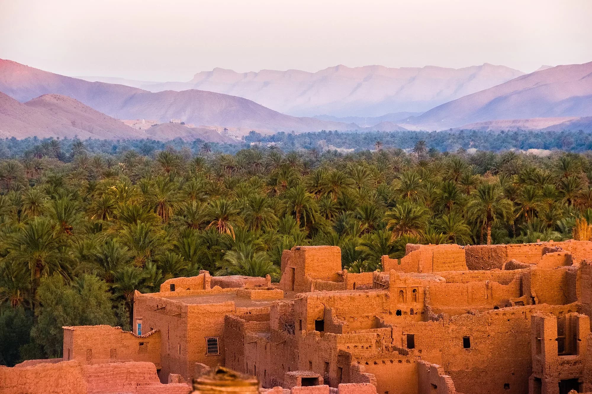 Mud-brick kasbahs among the Draa Valley palm grove, with mountains behind
