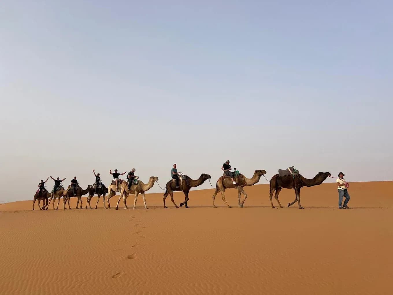 Long caravan at Erg Chebbi